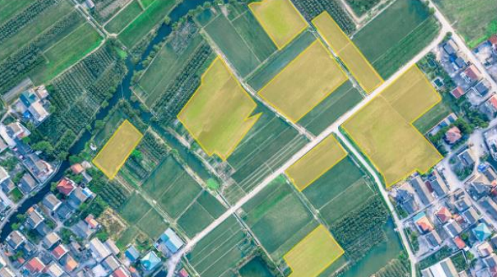 高标准农田建设遥感监测方案