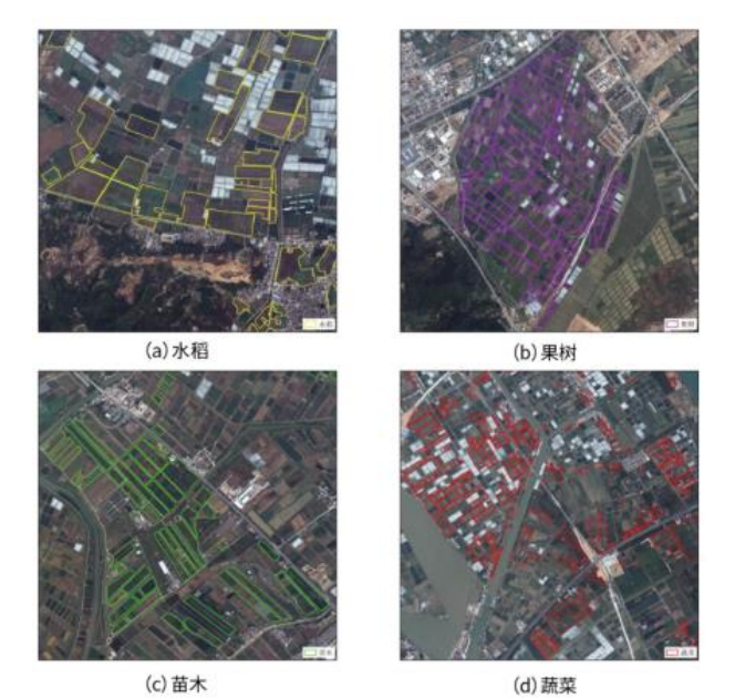 农田遥感技术在农作物分类监测中的应用